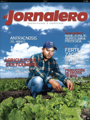 El Jornalero